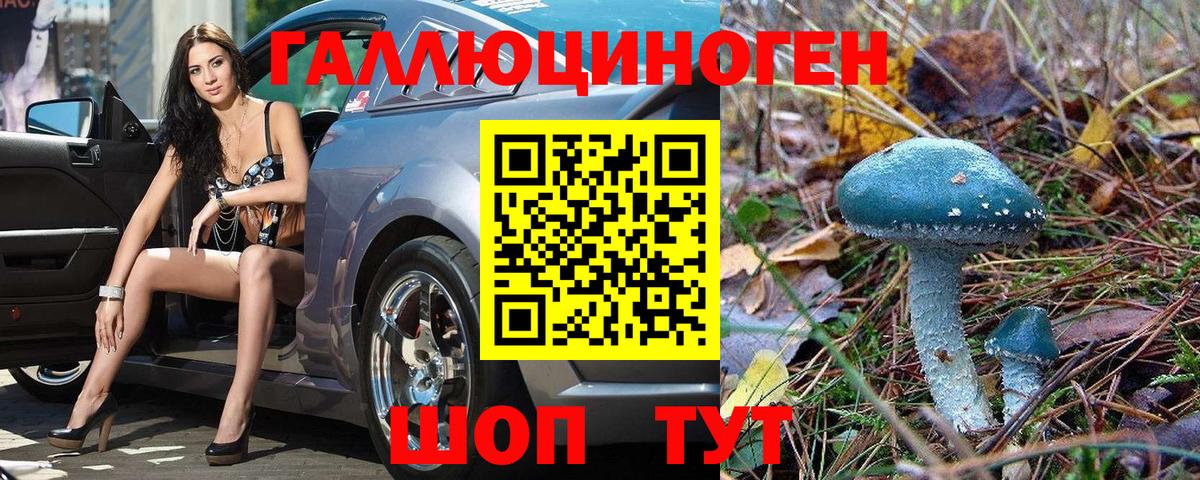 Псилоцибиновые грибы Psilocybe Ленинск-Кузнецкий