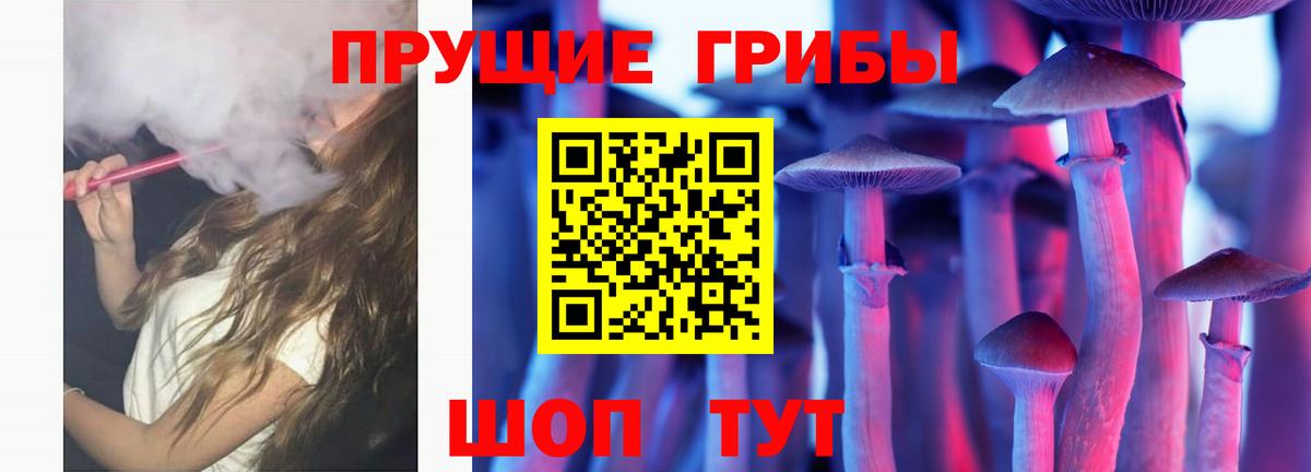 Псилоцибиновые грибы Magic Shrooms  Вход с VPN  Ленинск-Кузнецкий 